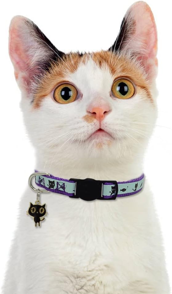 2 Pack Glow in The Dark Cat Collar with Bell Breakaway Safety Cat Puppy Collars with Pendant Purple and Light Blue