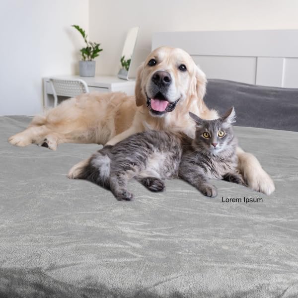 Waterproof Pet Blanket - 50x60-Inch Reversible Sherpa Fleece Throw Protects Couches, Cars, and Beds from Spills, Stains, and Fur by PETMAKER (Gray)