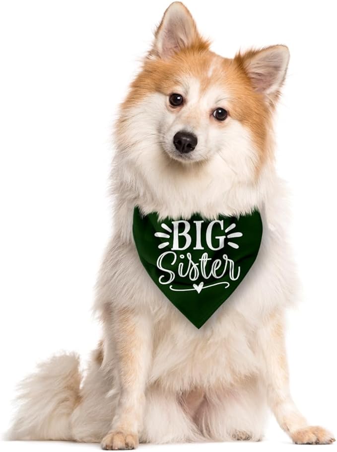Big Sister Bandana for Dogs, Pet Pregnancy Announcement, Dark Green Dog Bandana, Dog Baby Announcement, Pet Bandanas for Large Dogs (L)