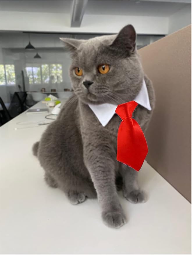6 Pieces Pets Dog Cat Bowtie Pet Sunglasses and Summer Pet Straw Hat with Faux Gold Chain Pet Costume Adjustable Formal Necktie Collar for Cats Small Dogs Puppy Grooming Accessories