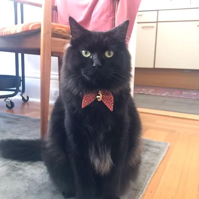 PetSoKoo Bunny Ears Cat Collar, Japan Lucky ‘開三運’ Charm. Safety Breakaway Bowtie Kitten Collar with Bell, Red