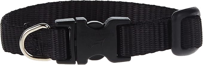 LupinePet Basics 1/2" Black 6-9" Adjustable Collar for Extra Small Dogs