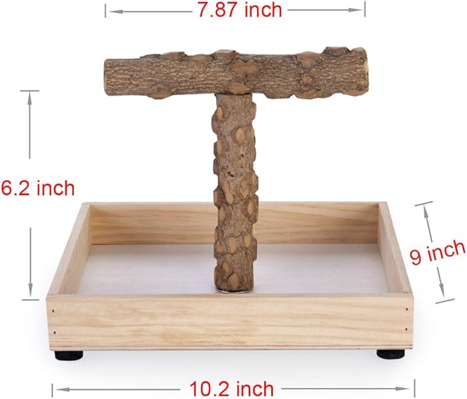 Bird Stand Tabletop,Portable Tee Stand, Parrot Play Stand Perch Gym for Small Medium Parrot (T Stand)