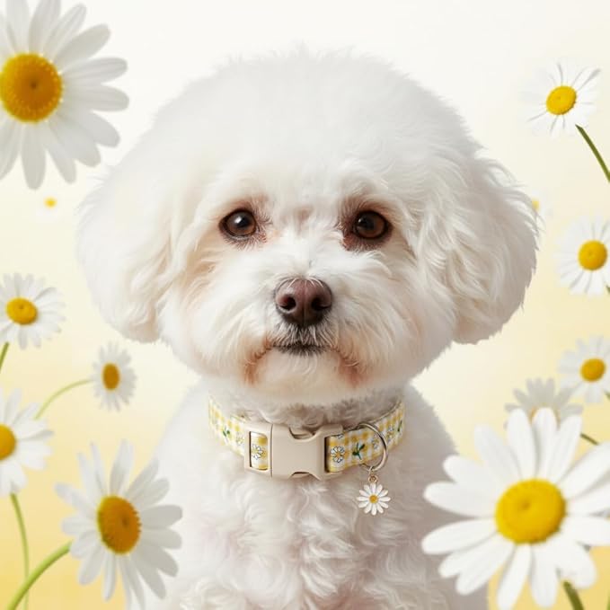 Cute Dog Collar, Yellow Plaid Dog Collar with White Floral Pattern, Spring Summer Design Floral Collar for Girls Boys Large Dogs