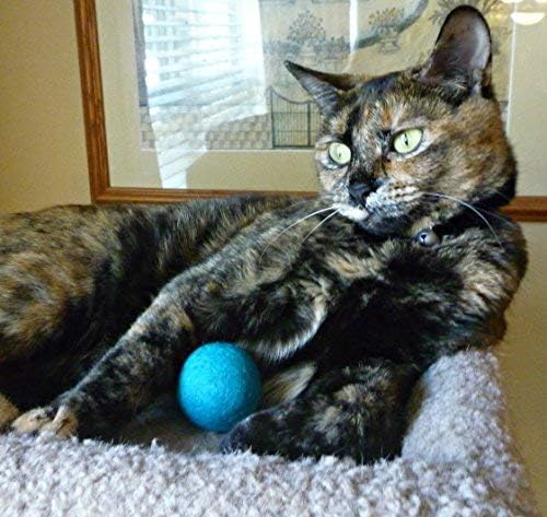 Wool Cat Toys - Felt Cat Toy Balls for Small Pet Fetch and Play - Eco Friendly Quiet Wool Ball Cat Toy for Cats and Kittens - Choose Your Colors (Purple)