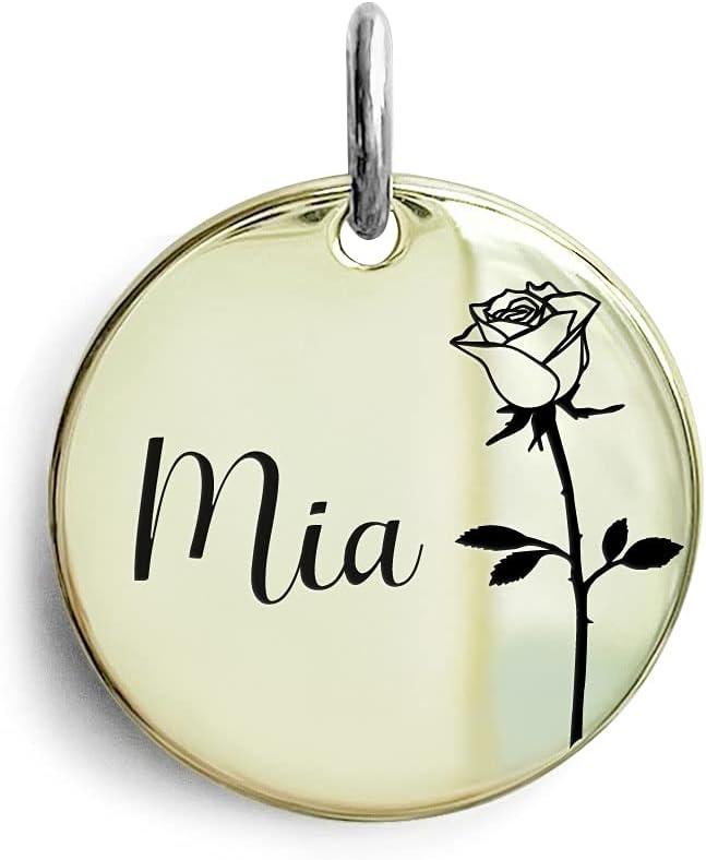 Cats Dogs ID Tags Personalized Engraving Birth Flowers Pattern for Custom Pets Collar Accessories Shiny Brass Copper Extra Small Round Name Plate