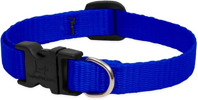 LupinePet Basics 1/2" Blue 10-16" Adjustable Collar for Small Dogs