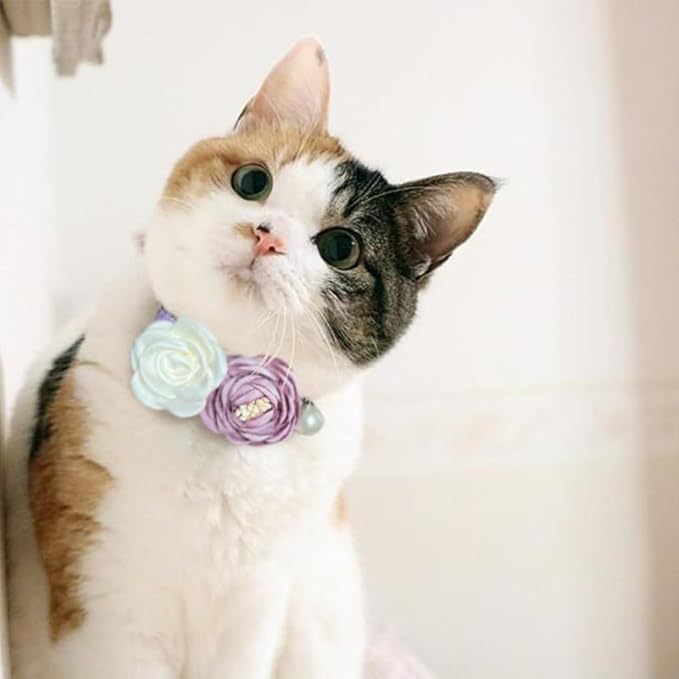 Fupo Purple Cat Collars for Girl Cats Breakaway Kitten Collar with Bell Flowers