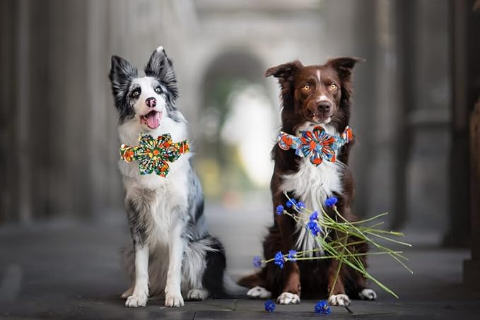 Lionheart Glory Floral Dog Collar - Adjustable, X-Large, Cute Floral Pattern
