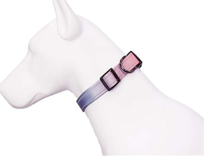 Roses&Poetry Reflective Dog Collar with Gradient Azure, Adjustable Durable Pet Collars for Small Medium Large Dogs (Azure-M)