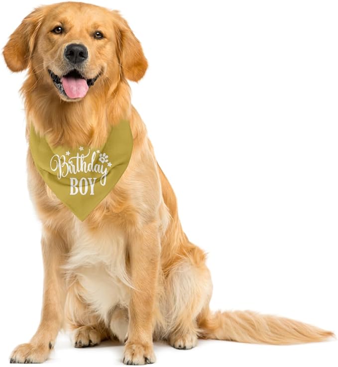 Birthday Boy Dog Bandanas, Dog Birthday Bandana, Birthday Bandana for Small Medium Dog, Pet Accessories for Dog, Happy Birthday Dog Bandana for Boys, Pet Scarf (B17)