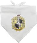 GRAPHICS & MORE Harry Potter Hufflepuff Painted Crest Dog Pet Bandana
