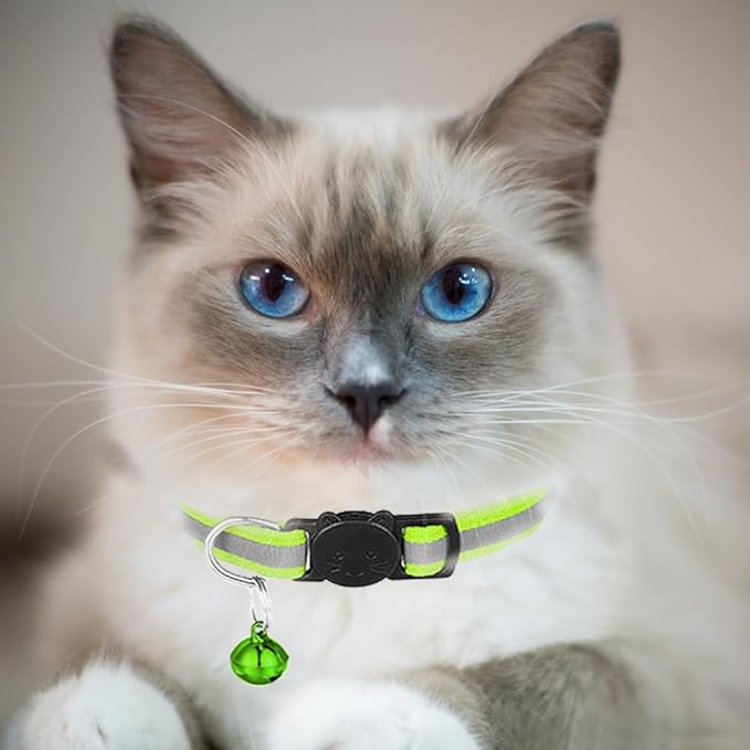 2 Pack Cat Collars Quick Release Reflective Kitten Collar with Bell & Safety Release (Fluorescent Green)