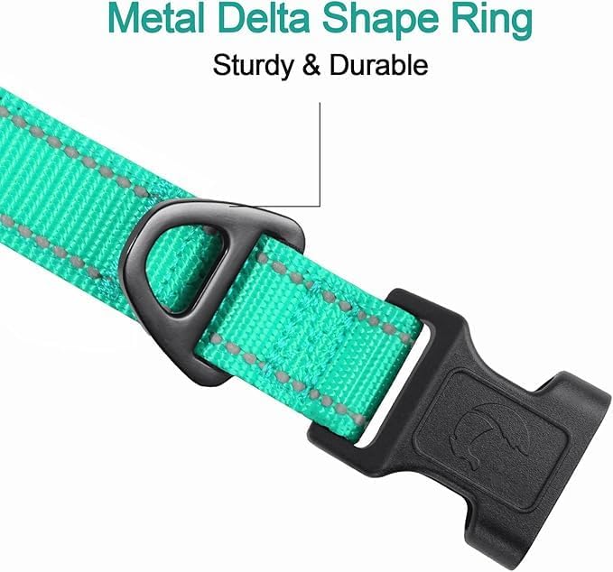 Joytale Reflective Dog Collar, Soft Neoprene Padded, Metal D-Ring, Nylon Pet Collar Adjustable for Medium Dogs, Teal, M