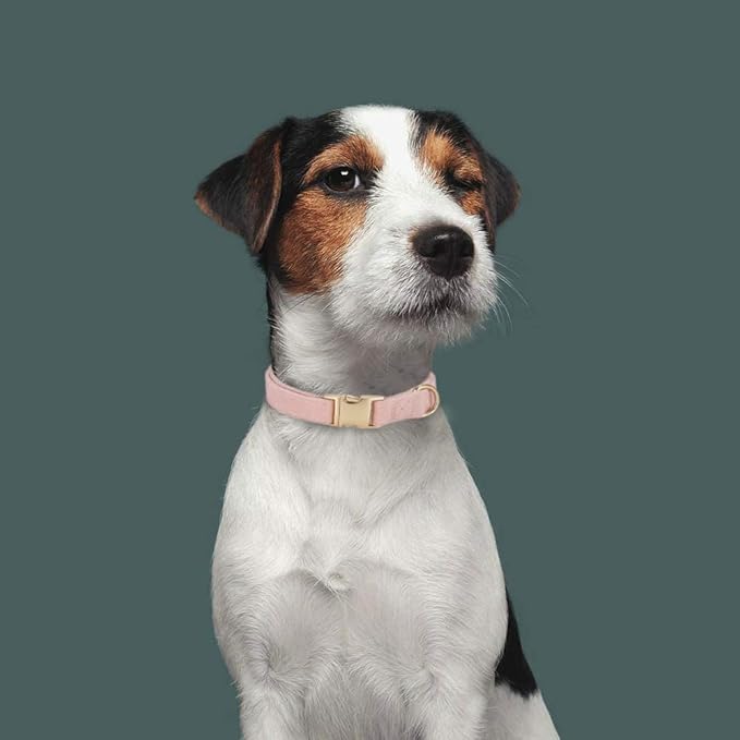 Soft Cotton Dog Collar with Metal Buckle Adjustable Heavy Duty Comfy Corduroy Collars for Small Medium Large Dogs,Light Pink,Large