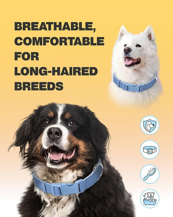 Dynmeow Soft and Breathable Cotton Dog Collar, Durable Adjustable Heavy-Duty Boy Pet Collar with Quick-Release Buckle, Lightweight for Sensitive Skin for Large Dogs, Light-Blue, L