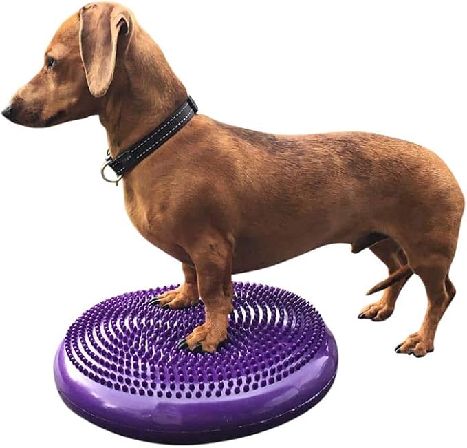 Dog Balance Disc Cushion 14" - With 2 Exercises and Pump - Dog rehab Exercise Strength Endurance Conditioning Fitness Flexibility Rehabilitation Physical Training Tool for Senior Dogs