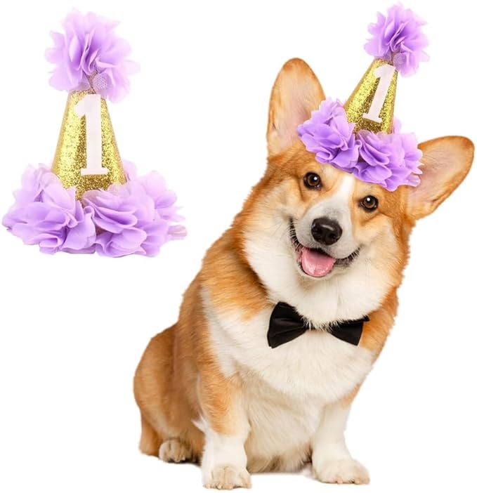 Stock Show 1st Pet Birthday Cone Hat Dogs Cats Holiday Party Hat Headwear Costume with Flowers Accessories and Adjustable Headband for Small Medium Dogs Cats Pets Baby, Purple