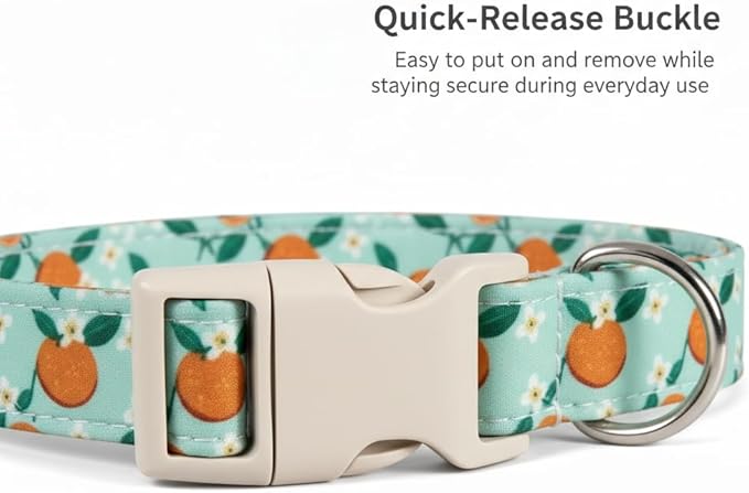 Dog Collar, Spring Summer Dog Collar with Orange Print and Charm, Cute Spring Summer Fruit Collar with Soft & Breathable Fabric, Adjustable Pet Collar for Small Dogs