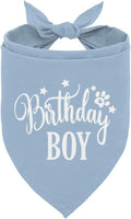 Happy Birthday Dog Bandana for Small Medium Large Dogs - Light Blue, Boy 1st Birthday Gift for Dog Lovers (A17)