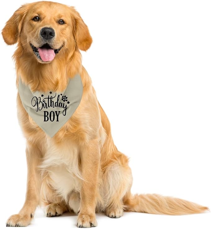 A19 Birthday Dog Bandana - Apricot, Small to Large Sizes, Boy, Gift for Dog Lovers