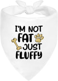 I'm Not Fat Just Fluffy White Dog Bandana, Funny Cute Puppy Scarf Accessory Photoshoot, Humor Gifts for Dogs Lover, Fluffy Puppy Bandana, Christmas Birthday Gifts for Dog Mom Dad