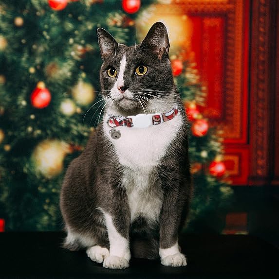 Lionet Paws 2pcs Pack Cotton Cat Collar,Breakaway Buckle Christmas Cat Colar with Santa,Red Green Dot Cute Adjustable Cat Kitten Collar,Ideal for Boy Cats