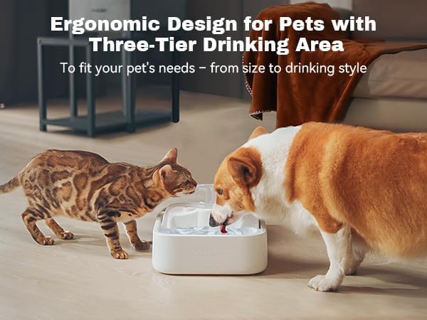 Oxygen-Riched Water Fountain for Cats Drinking Healthy, Pet Water Dispenser 3-Tired Standalone Water Bowl Indoor with Dual Pumps Quiet, Filter and Sponge Replaceable BPA-Free 2L/67 oz
