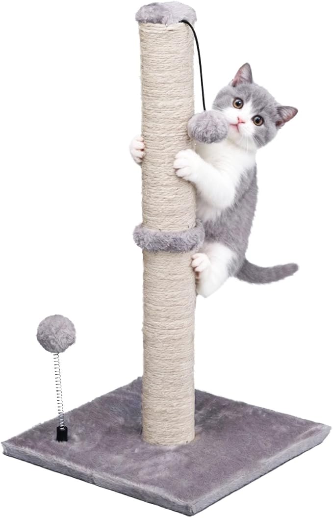 MECOOL Cat Scratching Post Premium Basics Kitten Scratcher Sisal Scratch Posts with Hanging Ball 22" for Kittens or Smaller Cats (22 inches for Kitten, Gray)