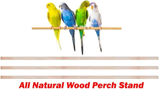 38-Inch Double Roof Top Large Flight Bird House Cage with Toys & Climbing Ladder for Cockatiels Parakeets Aviary Budgie Finch Lovebird Canary Pet Bird Travel Cage Side Nest Box Doors