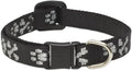 LupinePet Originals 1/2" Bling Bonz Cat Safety Collar , 8-12"
