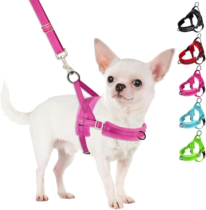 SlowTon No Pull Small Dog Harness and Leash Set, Puppy Soft Vest Harness Neck & Chest Adjustable, Reflective Lightweight Harness & Anti-Twist Pet Lead Combo for Small Medium Dogs(FU,L)
