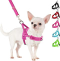 SlowTon No Pull Small Dog Harness and Leash Set, Puppy Soft Vest Harness Neck & Chest Adjustable, Reflective Lightweight Harness & Anti-Twist Pet Lead Combo for Small Medium Dogs (FU, M)
