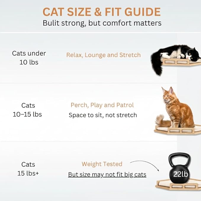 INICIO Cat Wall Shelves - Safe and Sturdy Cat Wall Furniture - Stylish Corner Shelf with 3 Steps for Cats up to 15lbs - Cushioned Perch and Stairs for Climbing and Playing - Natural Wood