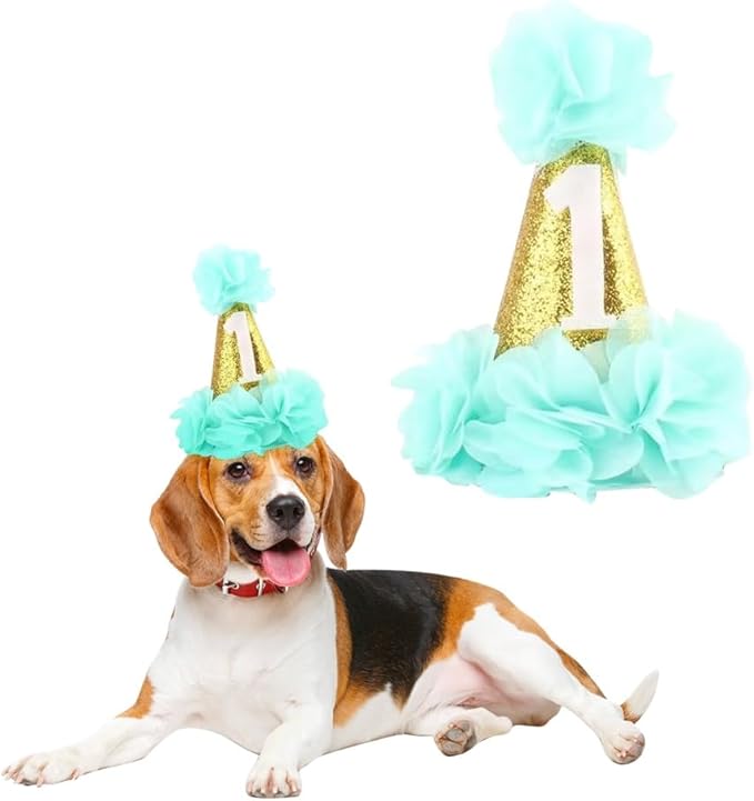 Stock Show 1st Pet Birthday Cone Hat Dogs Cats Holiday Party Hat Headwear Costume with Flowers Accessories and Adjustable Headband for Small Medium Dogs Cats Pets Baby (Blue)