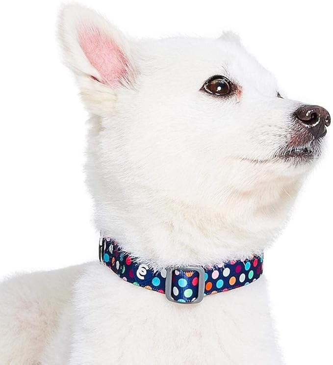 Blueberry Pet Essentials Rainbow Polka Dots Adjustable Dog Collar, Medium, Neck 14.5"-20"