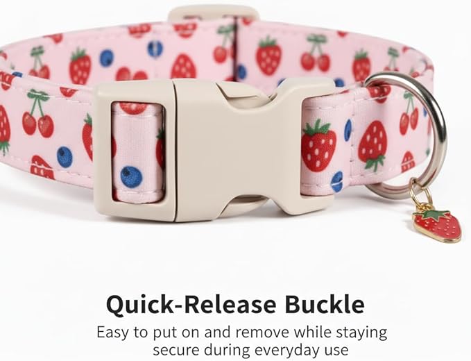 Pink Dog Collar, Female Dog Collar for Large Dogs with Strawberry, Cherry and Blueberry Print, Spring Summer Collar Made of Durable Soft Fabric, L