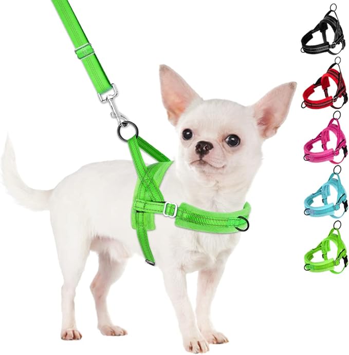SlowTon No Pull Small Dog Harness and Leash Set, Puppy Soft Vest Harness Neck & Chest Adjustable, Reflective Lightweight Harness & Anti-Twist Pet Lead Combo for Small Medium Dogs (Green-Front Clip,XS)