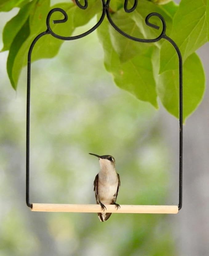 2 Pack Hummingbird Swing Metal Frame Hummingbird Perch Wild Bird Swing with Wooden Dowel for Hanging Outside