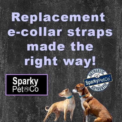 Replacement GPS eCollar with Adjustable Bungee, Multi-Hole Design, and Secure Toggle Closure for Small Dogs (Purple, Small Neck) Reflective