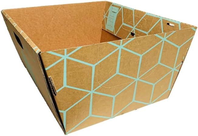 Tallest Disposable Cat Litter Box 15 Trays 2 Trays Litter Box Low Entry Original Patented Indentical Design19 Lx17 Wx8.5 17 in. Closed Box. Woman Lifelong Cat Care Sassy Uses Daily 14 yrs Made-US