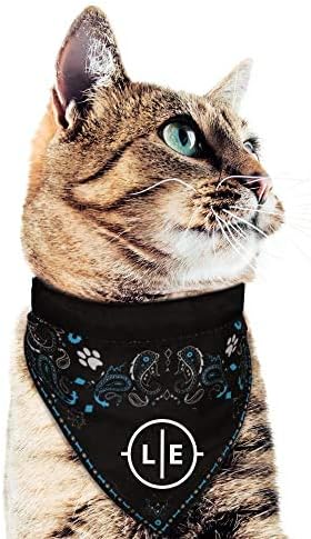 Littlearth NFL Denver Broncos Pet Bandana