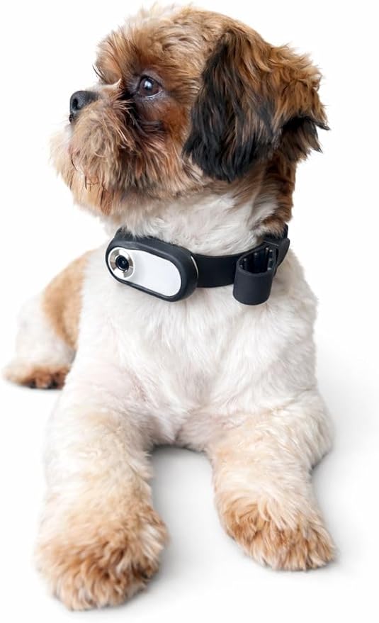Mini Dog Collar Camera 1080P – Records to Micro SD Card – No Live Streaming – No WiFi – Lightweight POV Camera for Dogs – Adjustable Pet Collar
