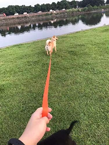 AmaGood Dog/Puppy Obedience Recall Training Agility Lead-15ft 20ft 30ft 50ft Long Leash-for Dog Training,Tie Out,Play,Safety,Camping (30 feet, Orange)