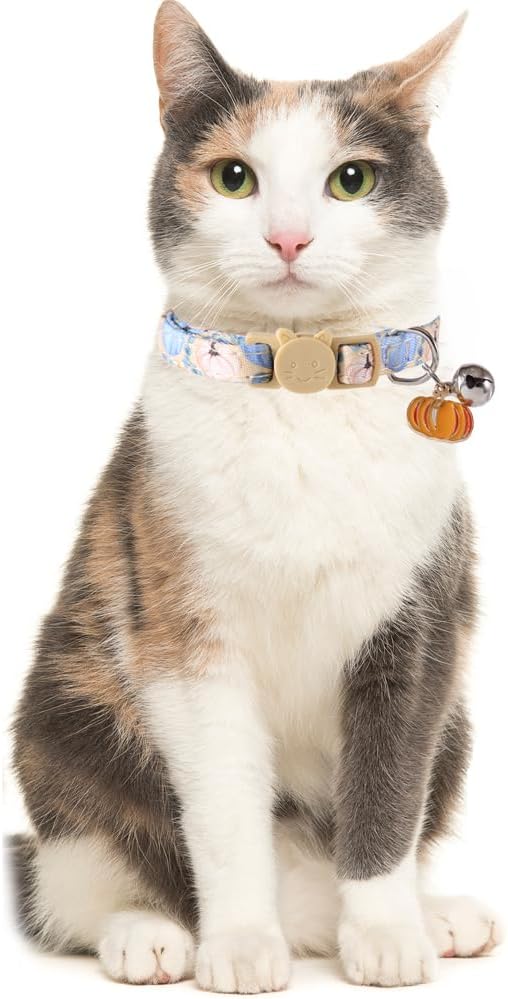 3 Pack Thanksgiving Cat Collar Fall Autumn Holiday with Bell Pendant Breakaway Adjustable Accessory for Kitten Kitty