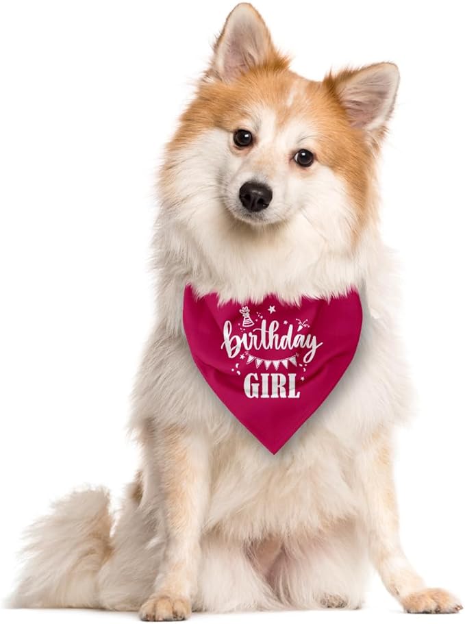 Birthday Girl Dog Bandana, Deep Pink Dog Bandana, Funny Cute Dog Bandana, Pet Dog Triangle Scarf, Pet Dog Scarf Accessories, Girl Dog Bandana, Dog Bandana for Small Medium Large Dogs (E53)