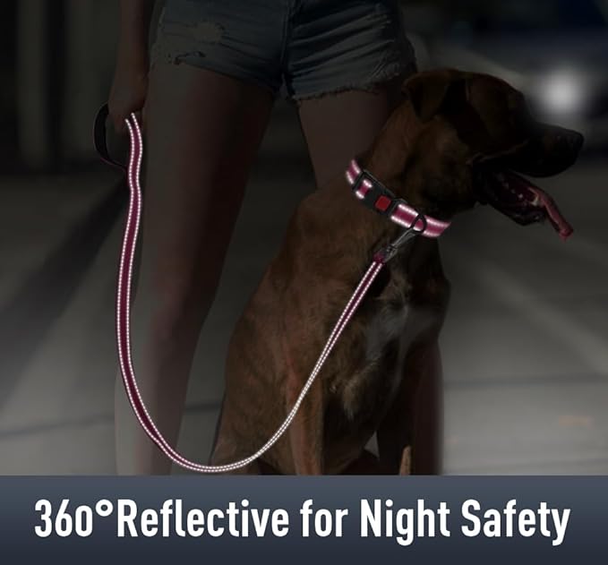 Airtag Dog Collar with AirTag Holder for Large Dogs, Reflective, Soft Padded & Safety Locking Buckle, Nylon Pet Collars Adjustable for All Breeds, Hotpink,L