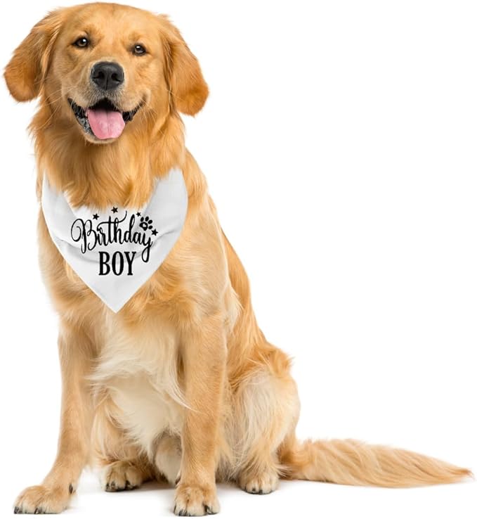 Happy Birthday Dog Bandana, Dog Bandana for Small Medium Large Dogs, Boy Pet Birthday, White Pet Bandanas, Dogs 1st Birthday Boy (A16)