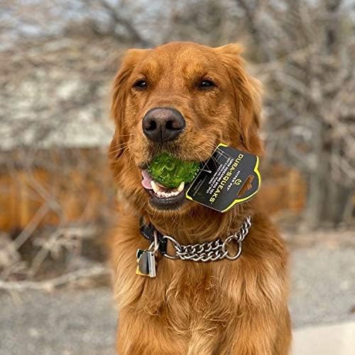 Hyper Pet DuraSqueak Dog Ball Toy, Interactive Dog Toys that Float and Squeaks for Playing, Fetching and Retrieving-Great Alternative to Traditional Tennis Balls Green 2.5 Inch