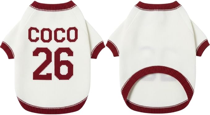 Custom Dog Sweater Personalized Pet Knit Outfit with Name Number Soft Warm Wearable Design for Puppy Owners Idea for Daily Use
